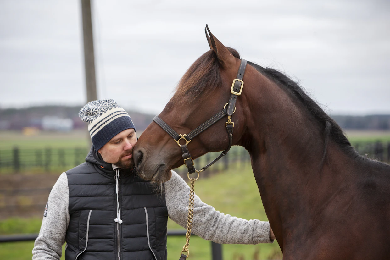 Daniel Redénin valmentama Francesco Zet ei ole tällä tietoa tähtäämässä Prix d’Ameriqueen.