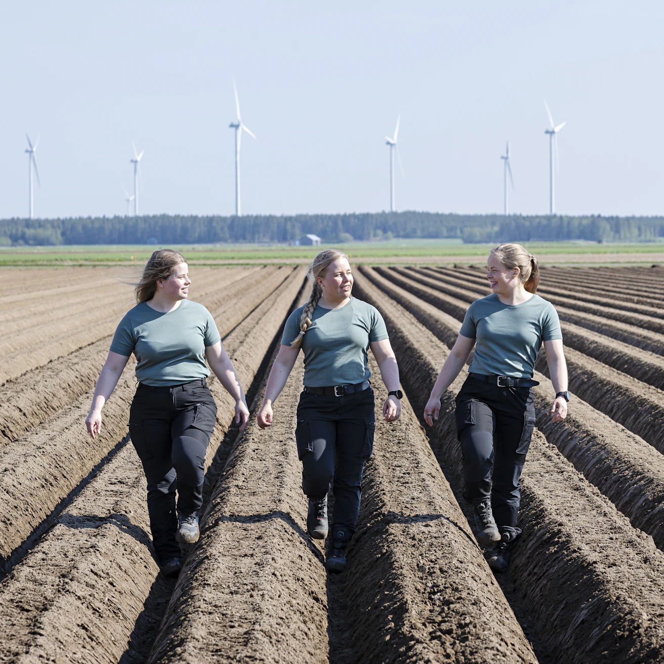 Hilla Kaarlela, Helmi Penttilä ja Elle Penttilä ovat Penttilän perunasiskot, jotka viljelevät ruokaperunaa Kalajoella.