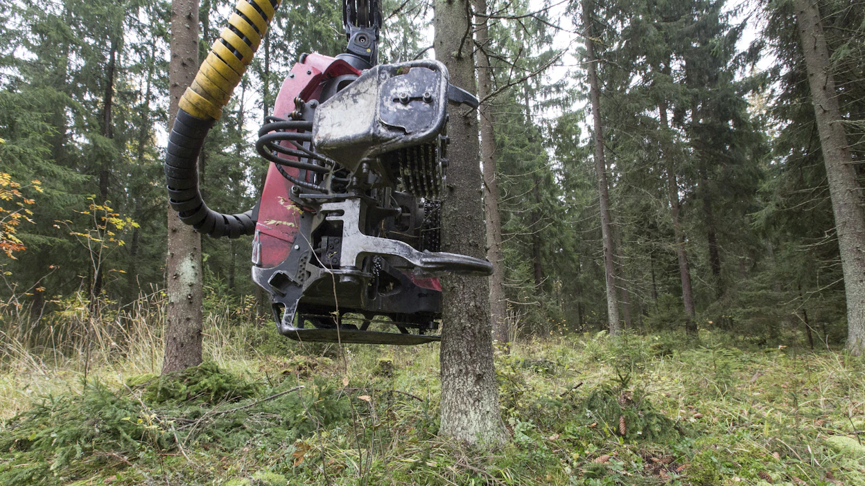 Kilpailevien metsäyhtiöiden ei uskota ostavan Stora Enson Ruotsissa myynnissä olevaa metsäkokonaisuutta.