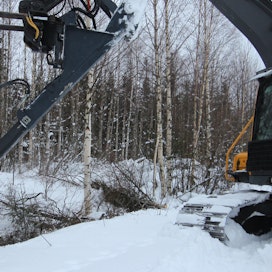 Tammikuussa hakkuukohteena oli energiapuuksi korjattava Metsätoimisto Tuomiahon välittämä vajaan 10 hehtaarin ensiharvennusleimikko.