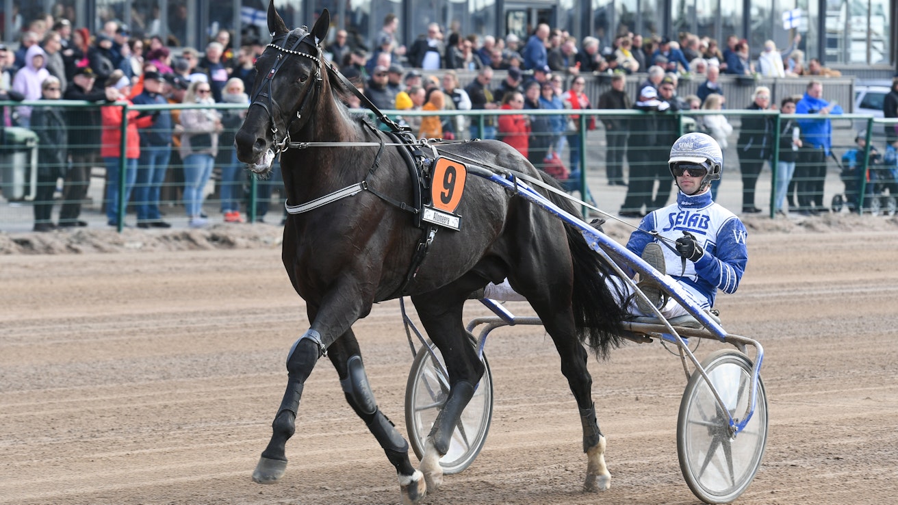Daniel Wäjerstenin ohjastama ja valmentama Borups Victory kävi myös viime vuonna Seinäjoella. Tuolloin hevonen sijoittui toiseksi. 