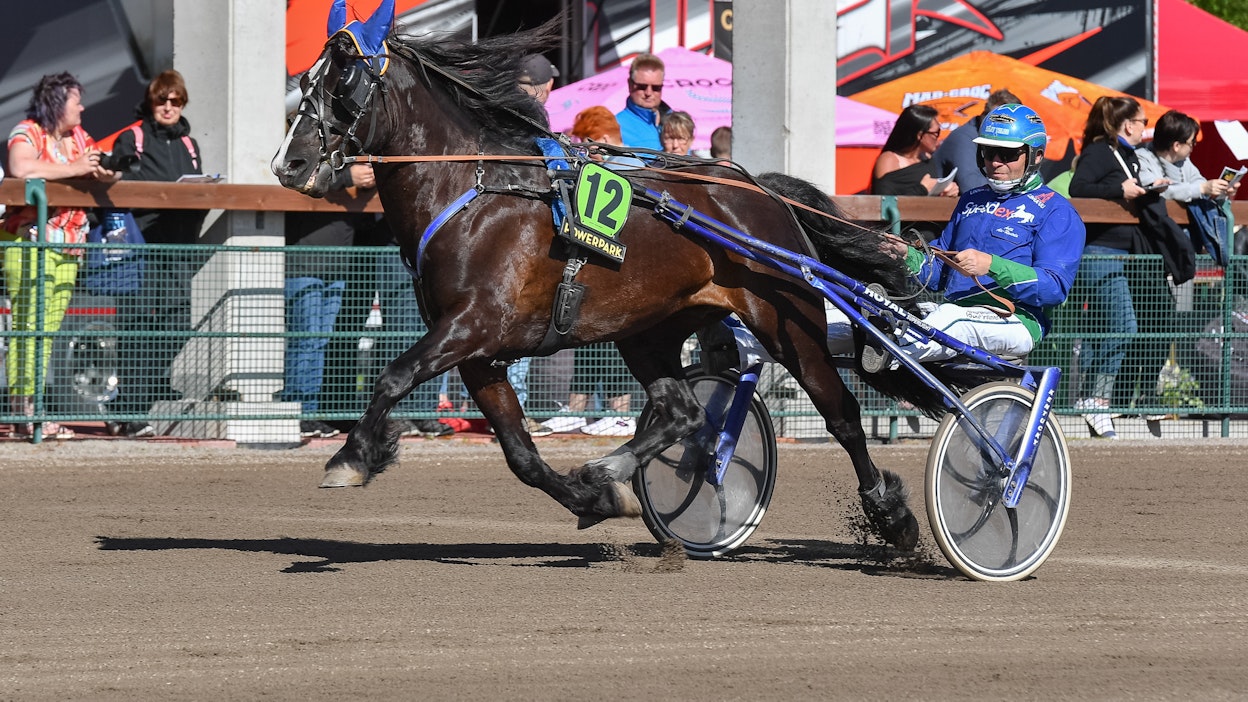 Antti Ala-Rantalan Havglimt on palannut hienosti tasolleen pahojen jalkavaivojen jälkeen. Kuvassa kaksikko toissavuoden Nordic King -raveissa.
