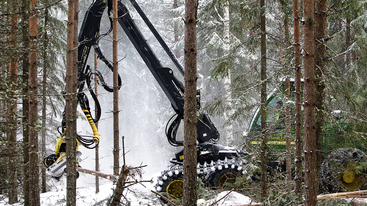 Koko alkuvuoden puukauppamäärä on kivunnut viime viikon jälkeen jo yli 35 miljoonaan kuutioon.