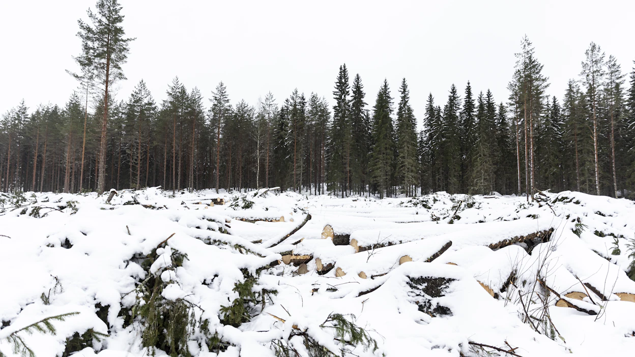 Lämpötilat vaihtelevat viikonloppuna rannikkoalueiden nollan asteen tuntuman ja sisämaan pikkupakkasen välillä.