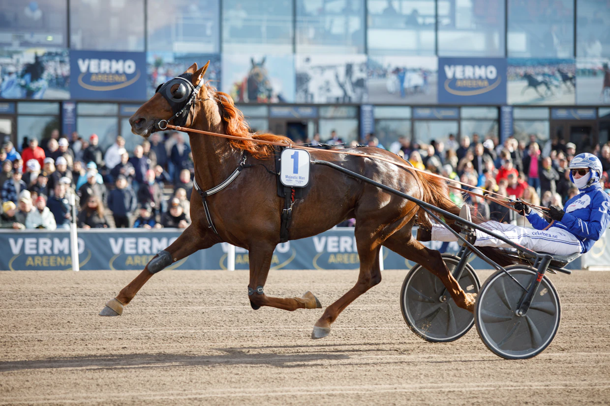 Rikard N Skoglund ohjasti Jonna Irrin valmentamaa Majestic Mania vuoden 2022 Finlandia-ajossa.