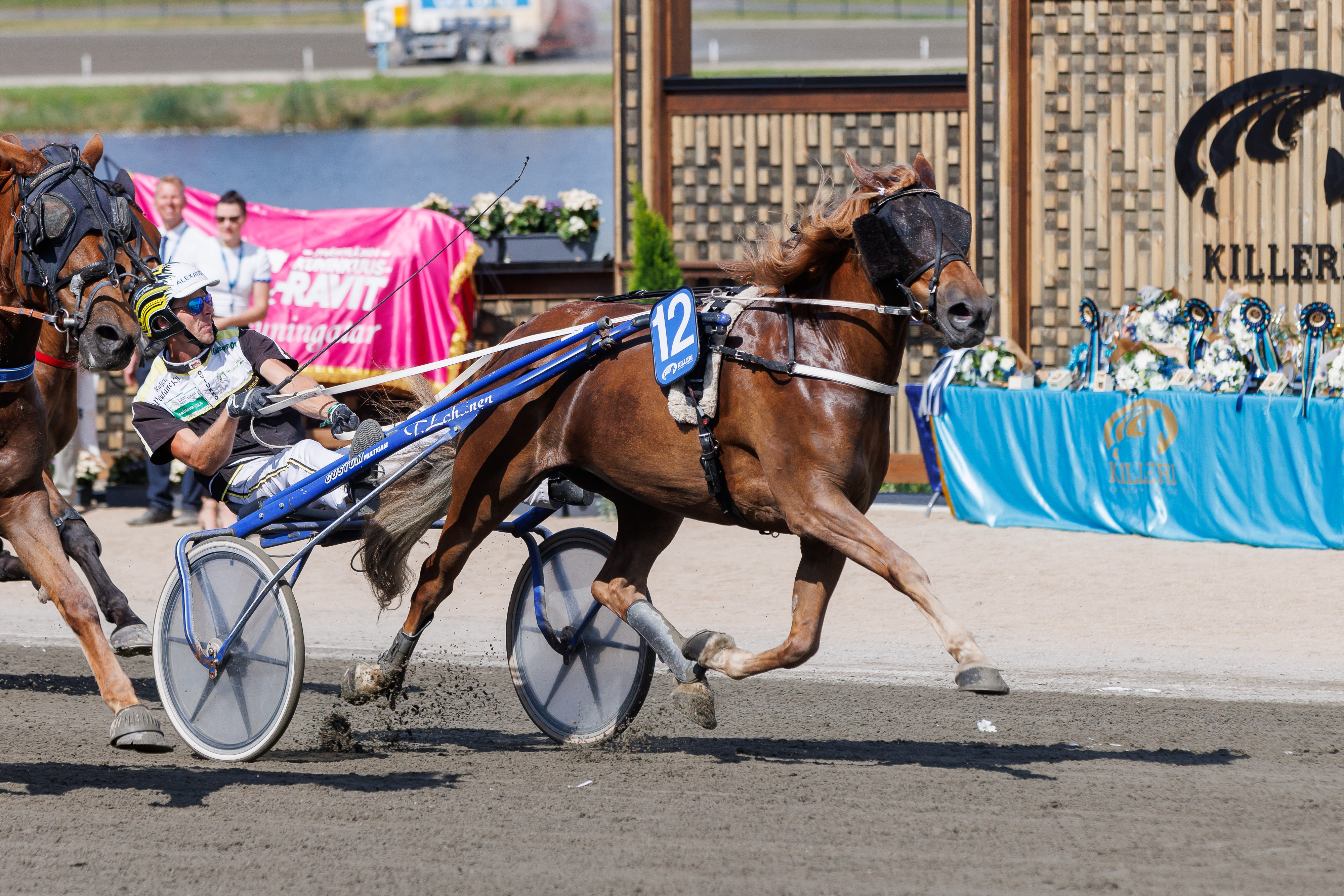 Tero Lahtisen ohjastama Pihlajan Hilima on vihjerivin toinen varma.