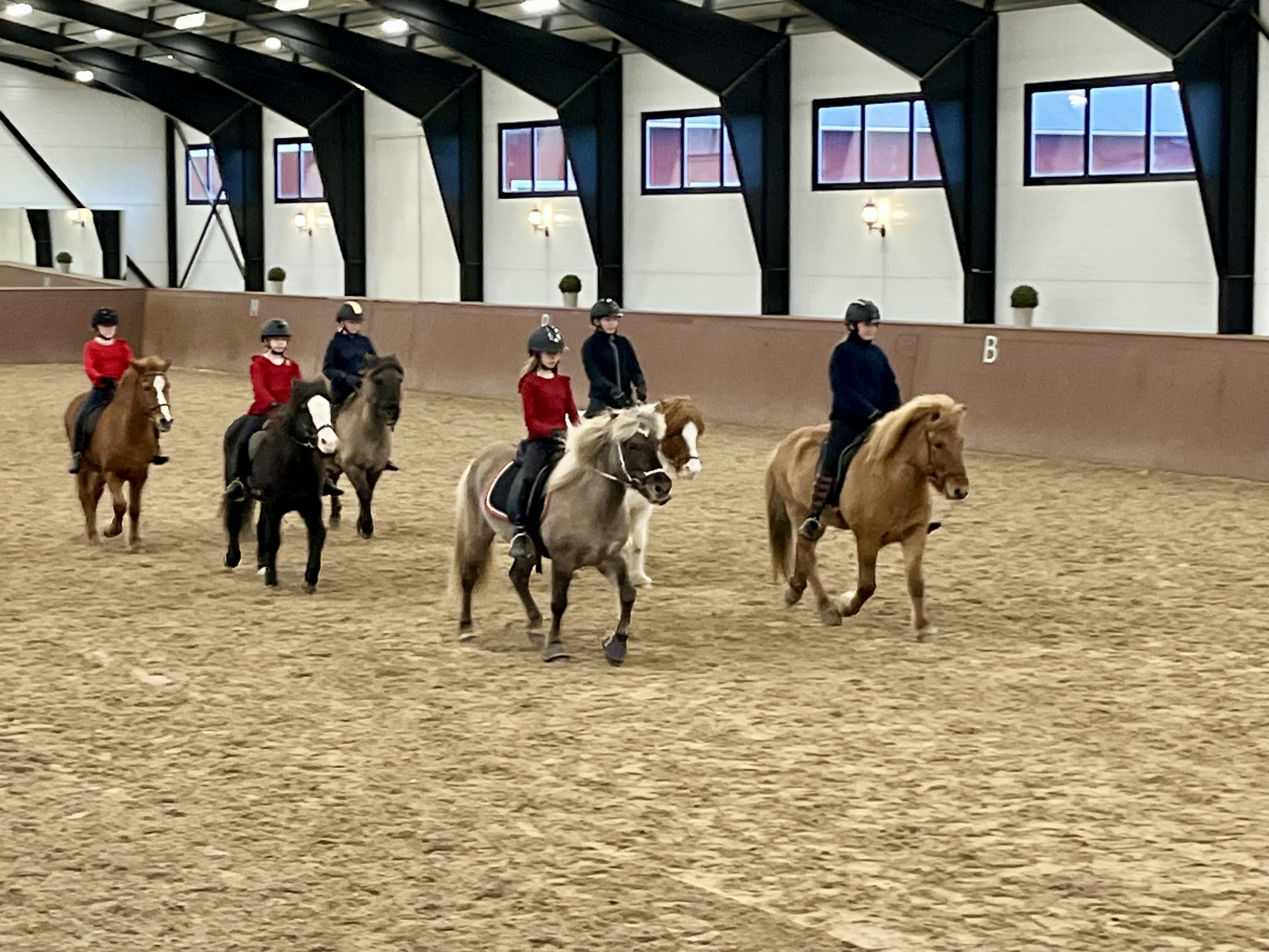 Kokeneet, työstään nauttivat opetushevoset ja niiden pienet ratsastajat katrillissa. Viimeisenä vasemmalla askeltaa 30-vuotias Seifur-ruuna.