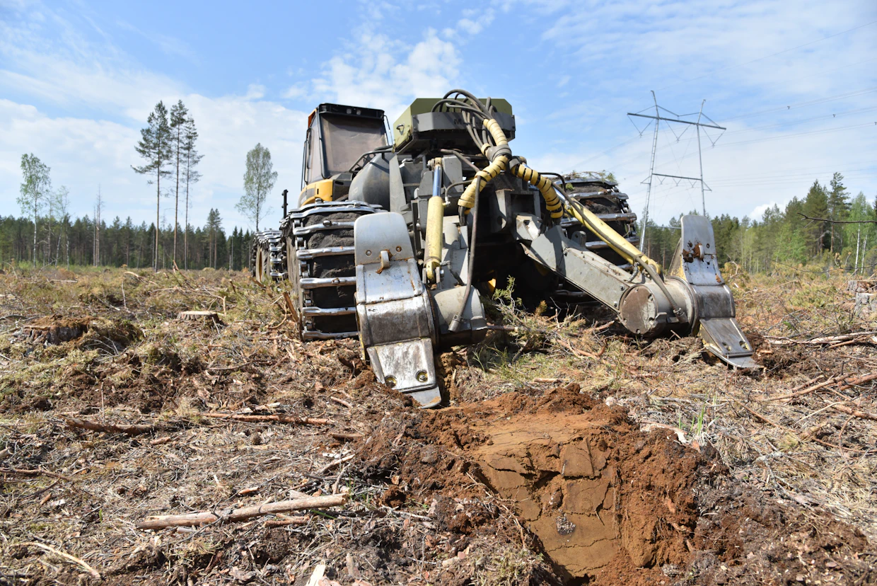 Hakkuuaukon maata muokataan, jotta taimille syntyy otollisia istutusmättäitä.