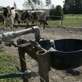 Eläinten hyvinvointilain mukaan eläintenpitäjien on muun muassa huolehdittava eläinten riittävästä vedensaannista.