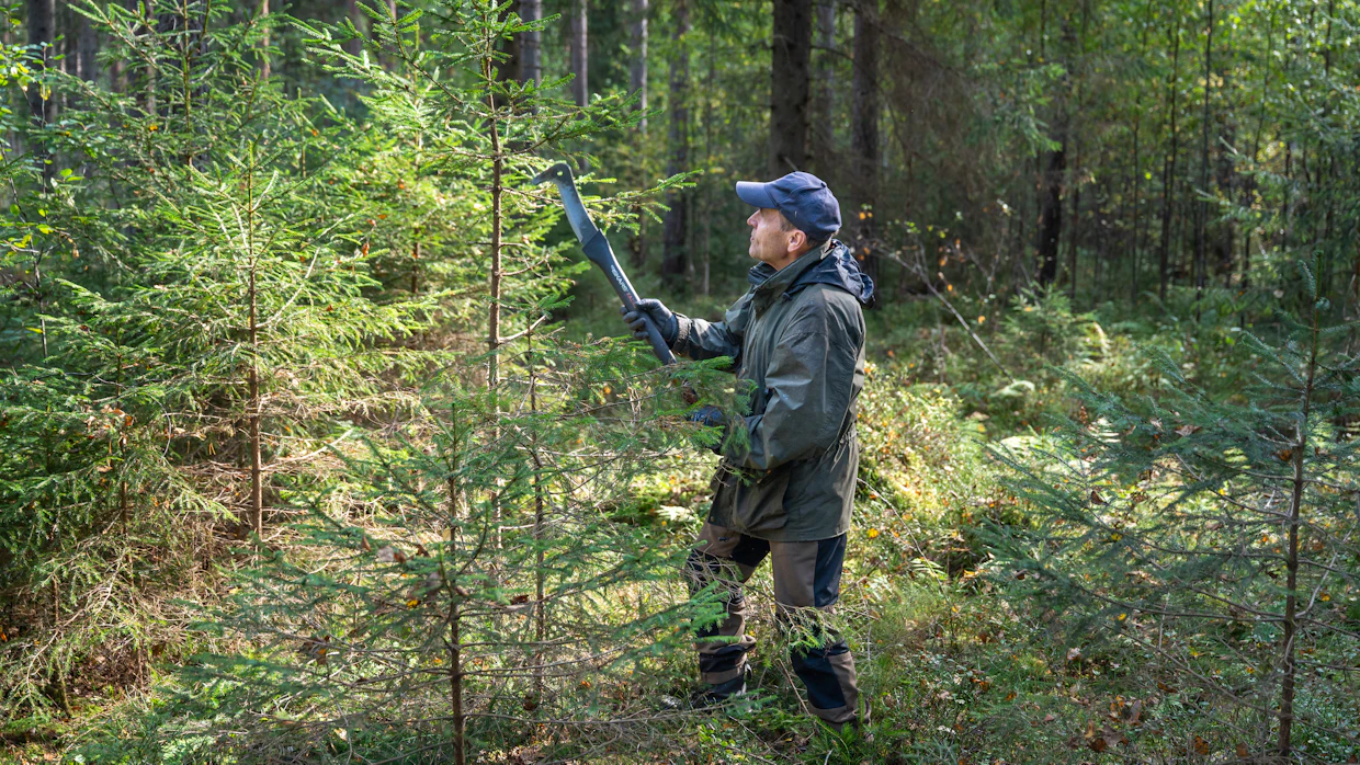 Jotkut suosivat moottorisahaa, mutta vesuri on Paavo Vesterisen mukaan voittamaton aurausviittojen teossa.