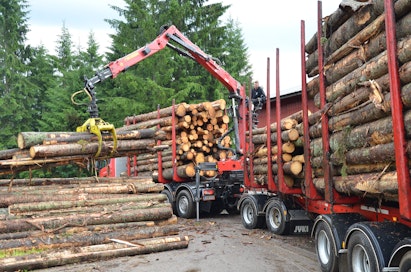 Metsänomistajilla on aiempaa maltillisemmat hintaodotukset sekä tukille että kuitupuulle.