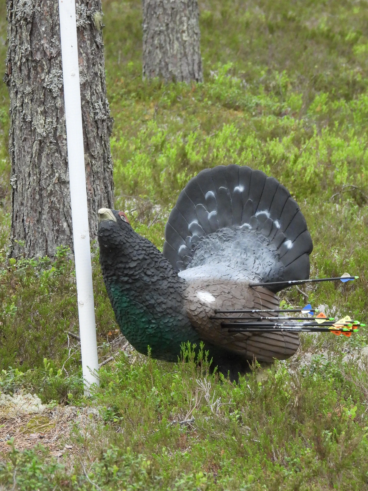 Paltamon jousiradalta löytyy muun muassa ukkometsoa esittävä kolmiulotteinen figuuri.