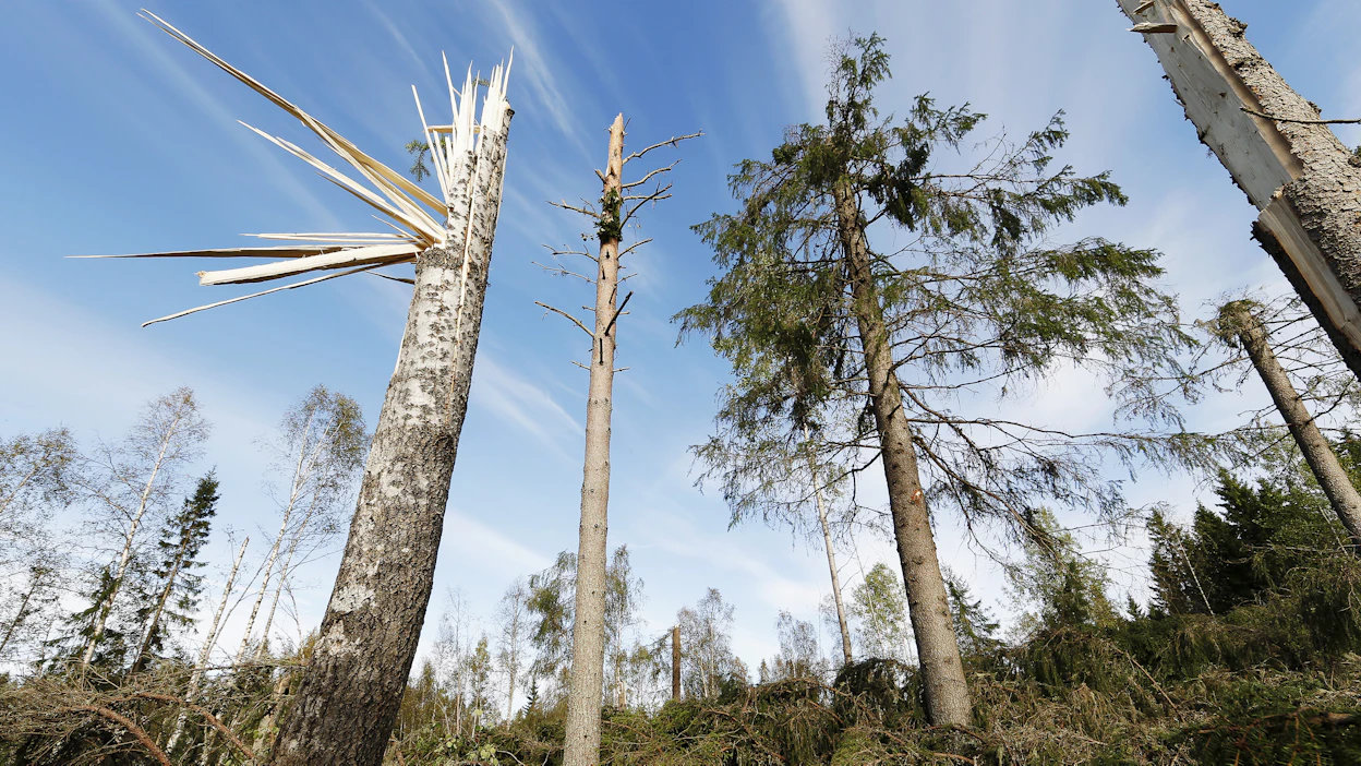 Trombi syntyy kuuro- tai ukkospilven nousuvirtauksen yhteyteen ja voi puiden katkomisen lisäksi esimerkiksi napsia mukaansa kaikenlaista kattotiilistä pihakalusteisiin. Kuva ei liity juttuun.