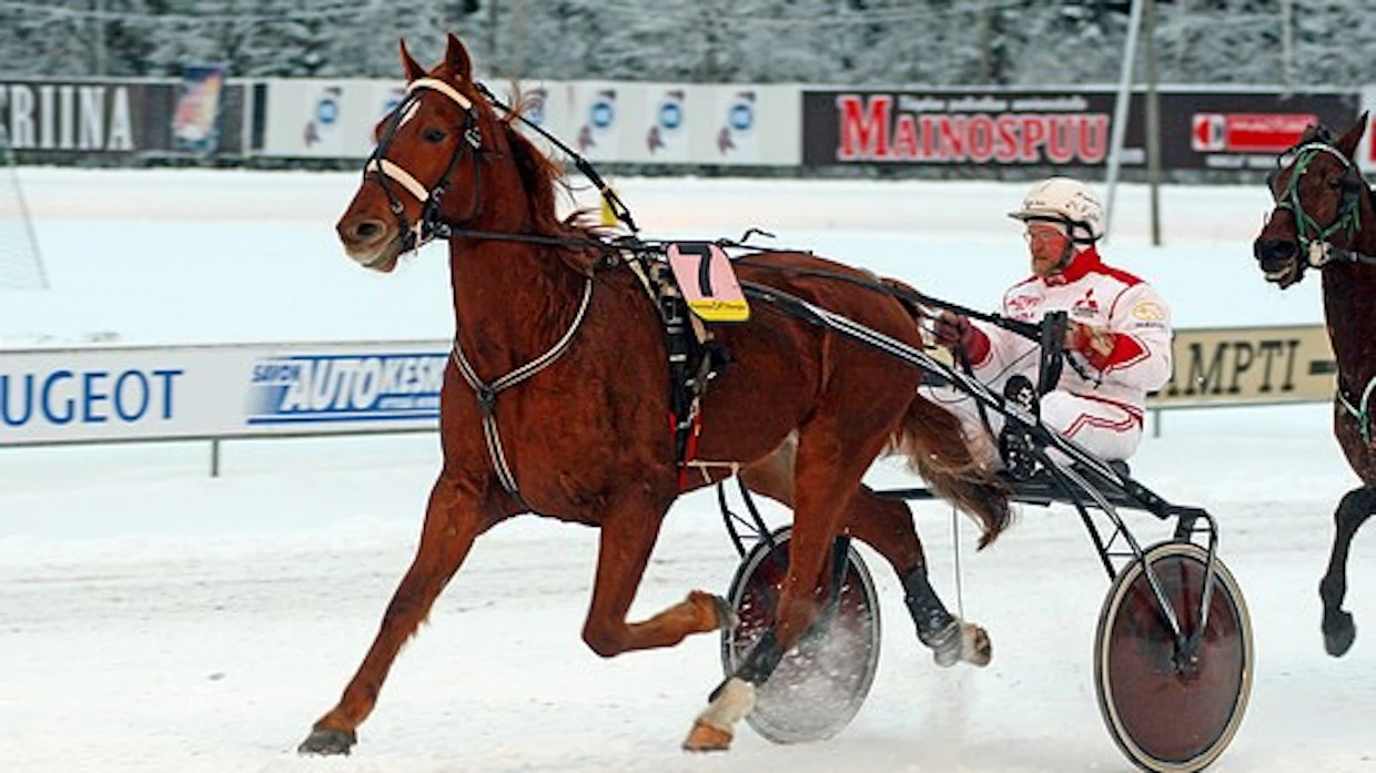 Great Gladiator oli Matti ja Diana Lampisen menestyshevonen viitisentoista vuotta sitten. Arkistokuvassa ruuna juoksee Mikkelissä Lauri Turusen ajamana.