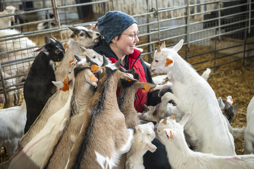Halmelan vuohitilalta Lopella voi ostaa mukaan vuohen- ja kilinlihaa pakasteena, vuohen taljoja sekä vuohenmaitotuotteita. Kuvassa yrittäjä Jonna Ukkola.