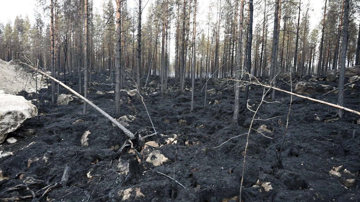 Metsäpalo alkoi Kalajoen Rautiossa sijaitsevalta Mutkalammin tuulipuiston työmaalta heinäkuussa 2021.