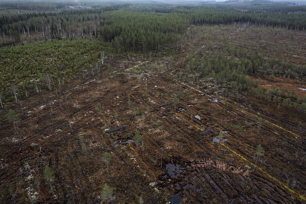Kirjoittaja muistuttaa, että ojien mättäminen umpeen lisää ravinnepäästöjä ja hiilidioksidia karkaa mustasta kuolleesta maasta helposti. Kuva ennallistettavasta suosta Pieksämäen Paltaselta.