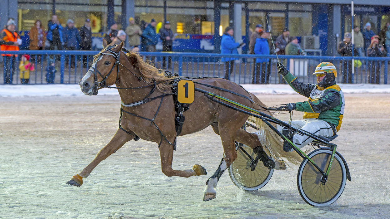Sipisee karkasi paalulta Valkeala-ajossa. Teemu Okkolin ohjasti.