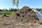Hakkuutähteen pitää antaa kuivahtaa aukolla vähintään kuukauden, jotta neulaset varisevat pois. Kun tähteet on ajettu kasaksi, se suojataan sateelta vahvalla peitepaperilla.
