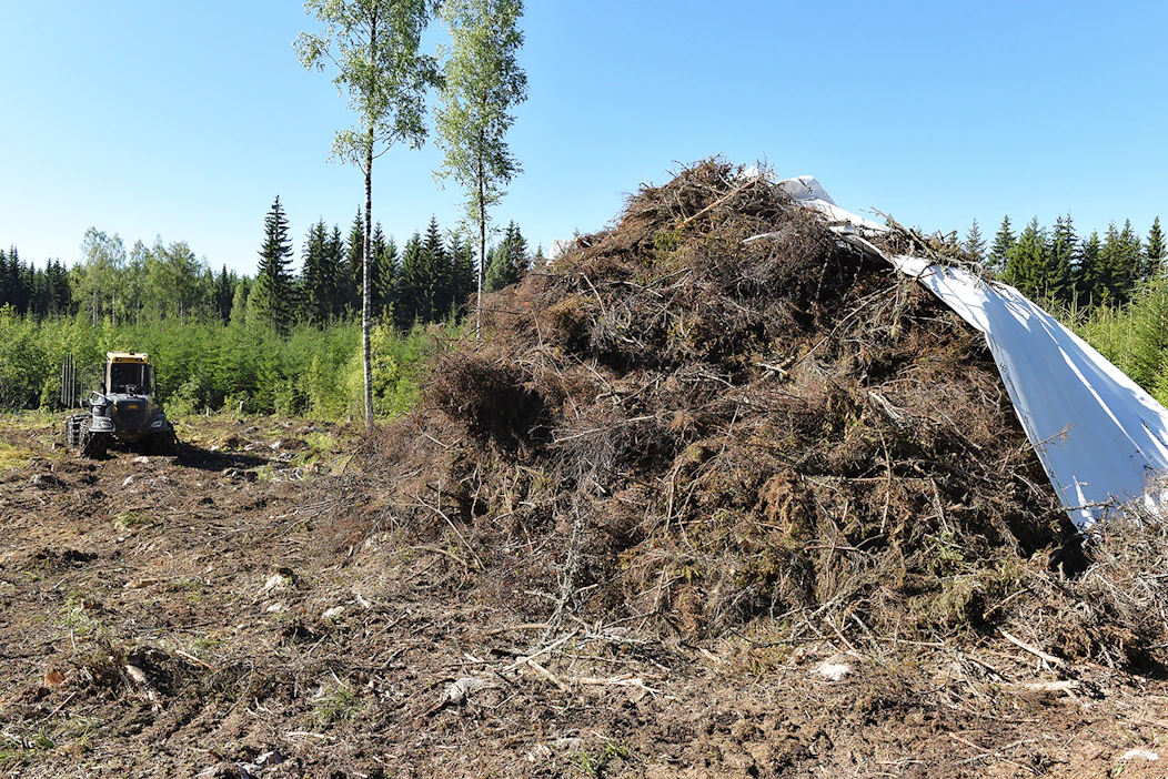 Hakkuutähteen pitää antaa kuivahtaa aukolla vähintään kuukauden, jotta neulaset varisevat pois. Kun tähteet on ajettu kasaksi, se suojataan sateelta vahvalla peitepaperilla.