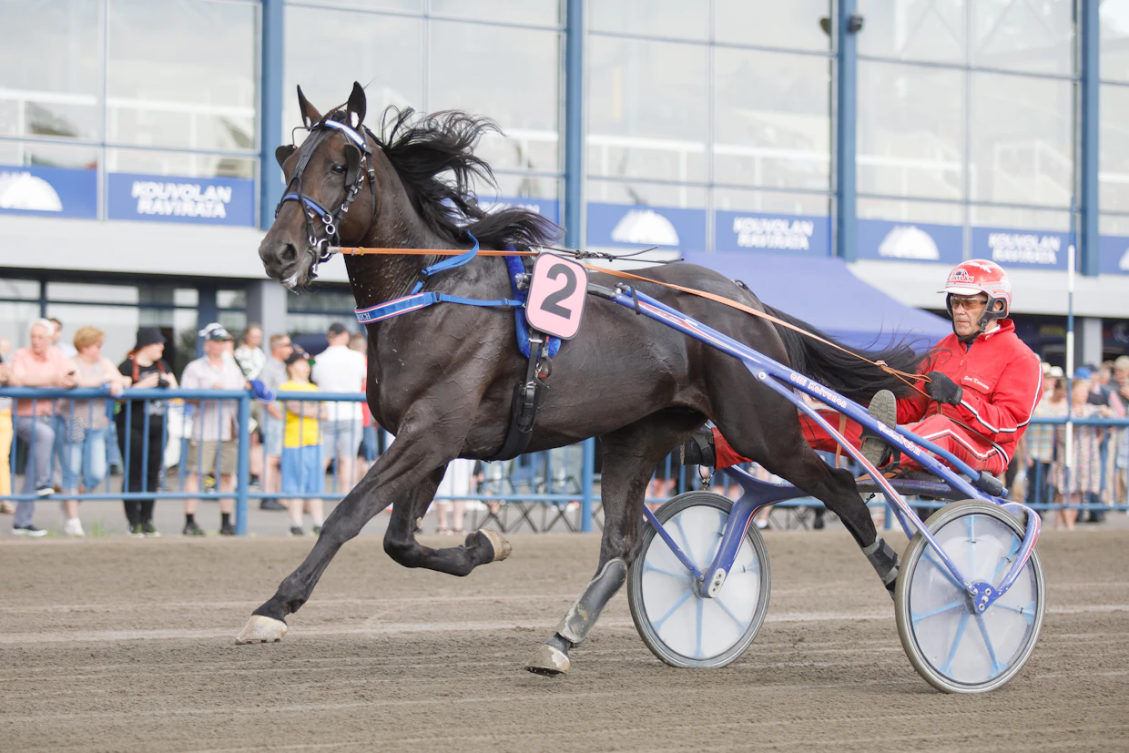 Derbyvoittaja Crepe Matchin omistajaksi on merkitty Team Credit, jonka toinen osakas on tässä oriin rattailla oleva valmentaja Harri Koivunen.