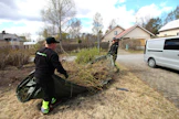 Joni ja Kalle Raninenhuolehtivat leikkauksista syntyvin puutarhajätteiden siirron ja poiskuljetuksen.