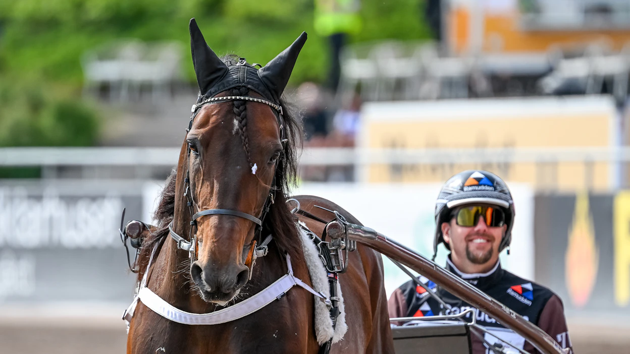 Francesco Zet ja Daniel Redén esittäytyivät Elitloppet-yleisölle viime toukokuussa Solvallassa.