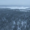 Havumetsävyöhyke on 40 vuoden aikana levittäytynyt kohti pohjoista.