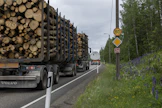 Metsäteollisuuden mukaan ammattidiesel on liian lyhyt askel oikeaan suuntaan.