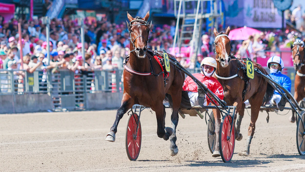 Diamond Trupon odotetaan jatkossa värittävän Suomen ykkössarjoja. Kuvassa oriin rattailla Alessandro Gocciadoro.