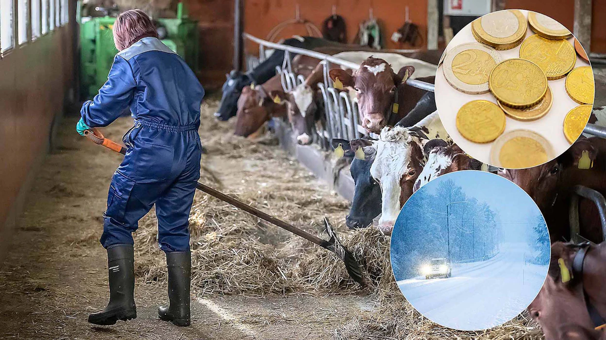 Raskas ja vastuullinen työ mutta alhainen palkka on yhdistelmä, joka ei houkuttele nuoria ryhtymään lomittajiksi.