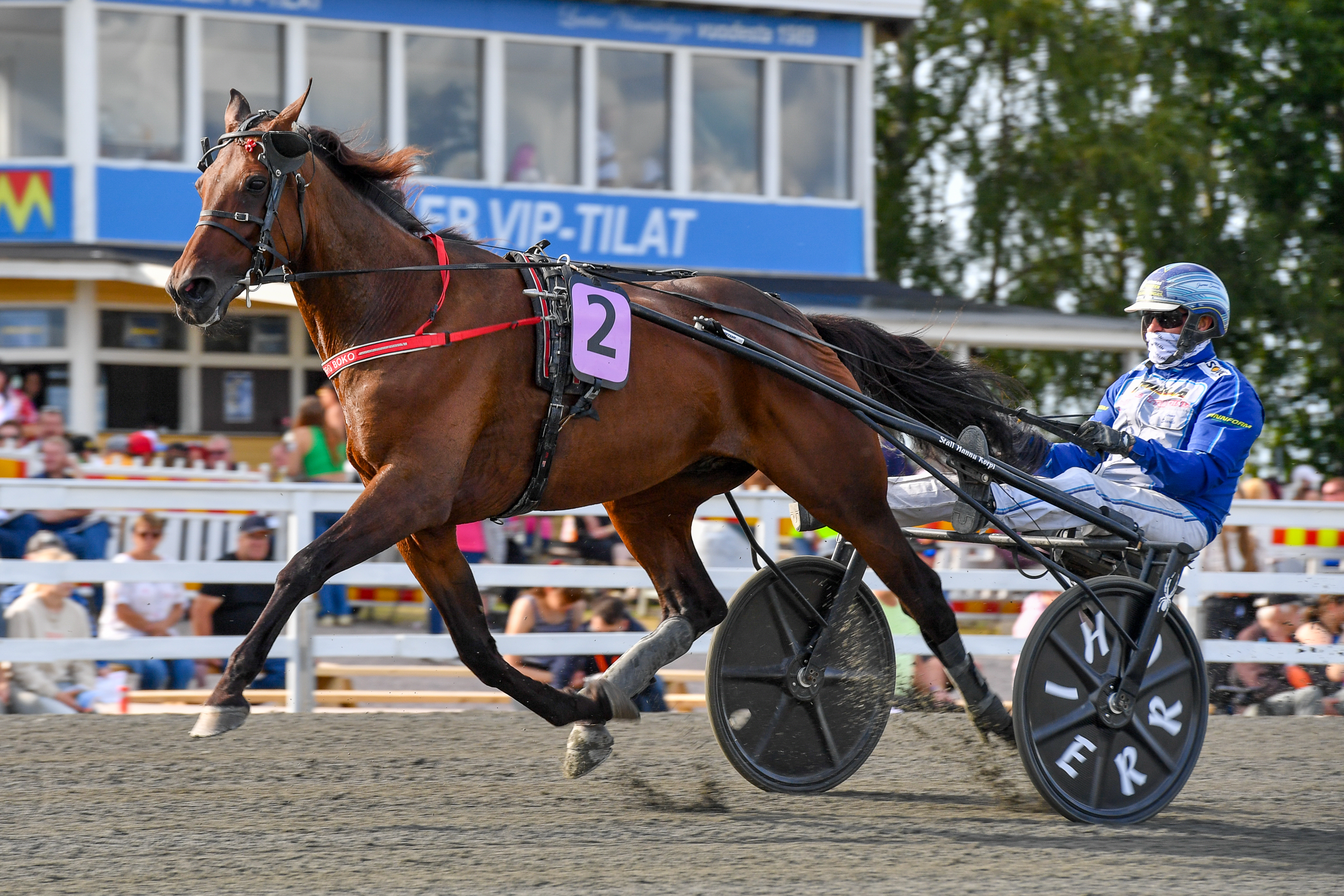 Jarmo Saarelan ohjastama Hierro Boko on vihjerivin varma.