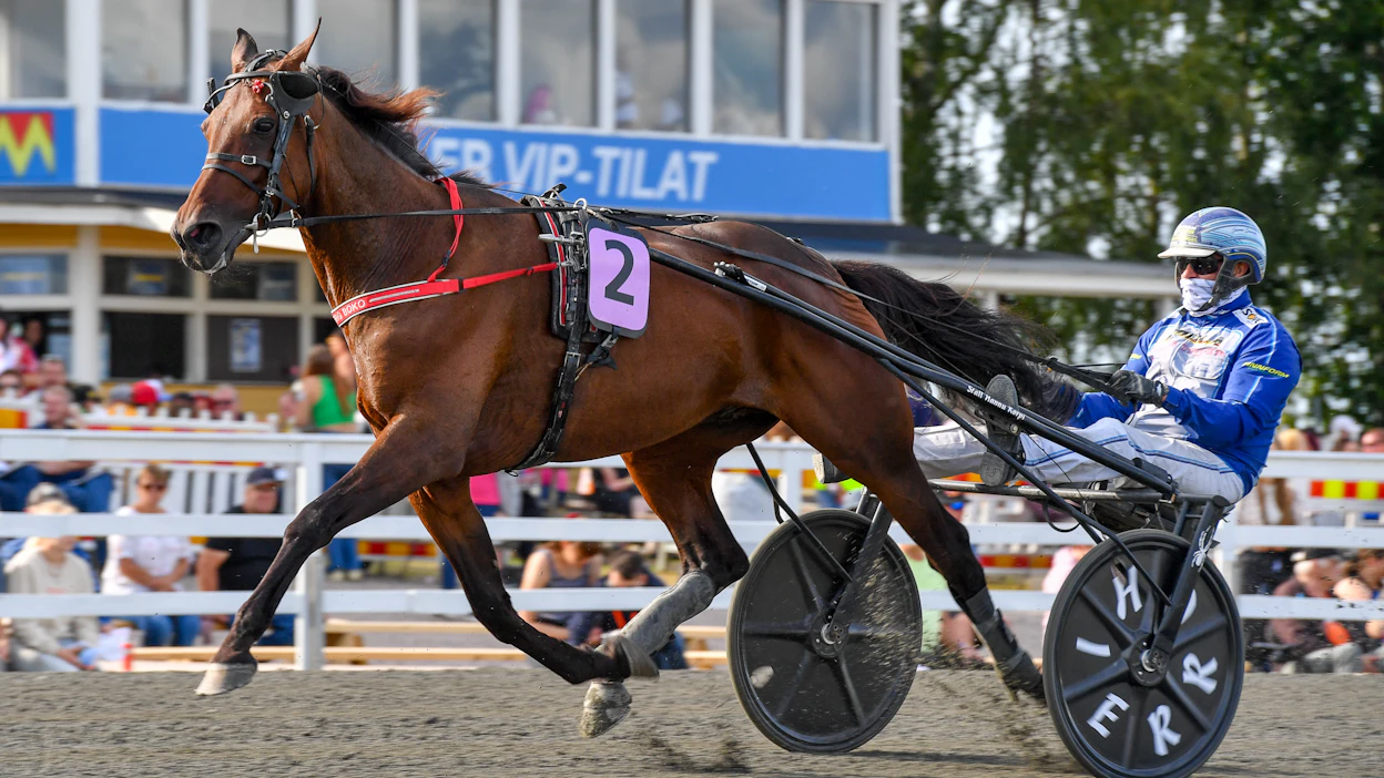 Jarmo Saarelan ohjastama Hierro Boko on vihjerivin varma.
