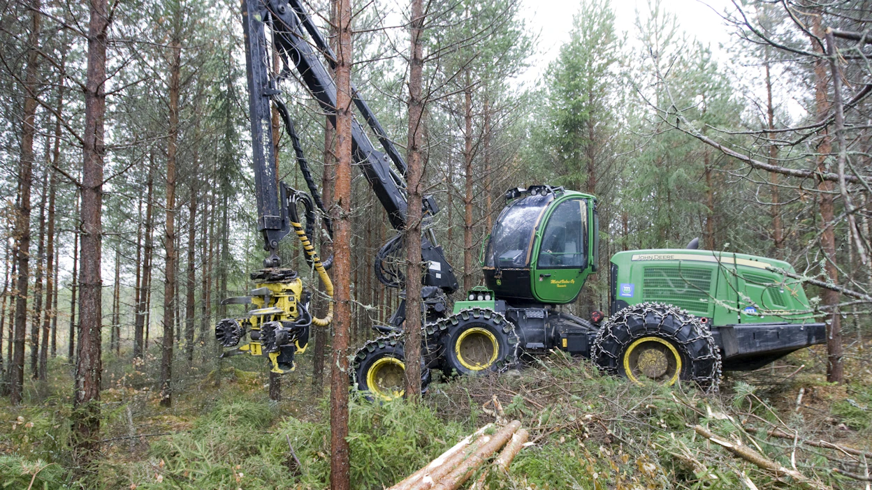 Muun muassa Ruotsin metsäteollisuus toivoo uuden hallituksen luovan metsänomistajille varmuutta jatkaa investointeja metsiinsä. Kuvituskuva.