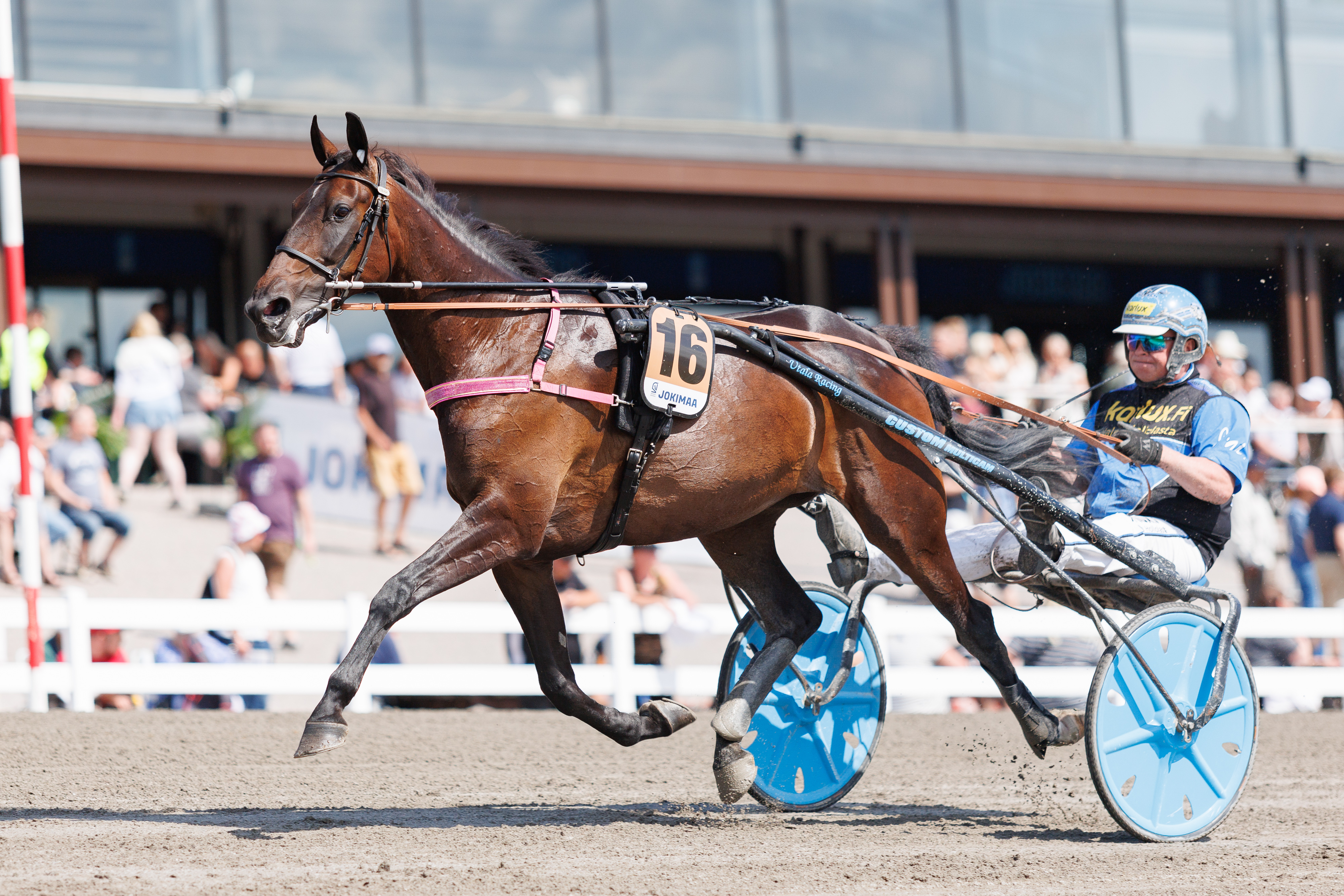 Juha Utalan ajama ja valmentama Gal Gadot Racing juoksee Kuuma Cupin karsinnassa. Utalan tallista starttaavat Vermossa myös Piece Of Knowledge ja Payet.