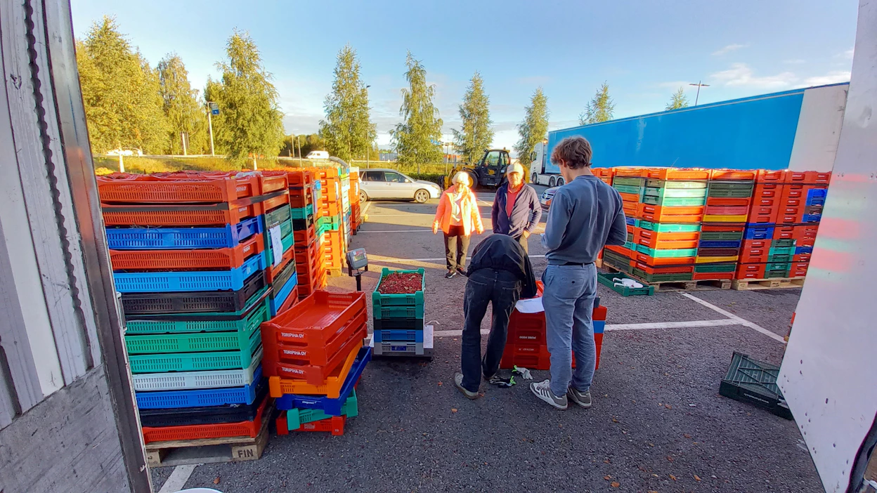 Kokkolan 4H-yhdistys palkkaa tänäkin vuonna pari nuorta ostamaan metsämarjoja Kokkolan K-Citymarketin pihalla.