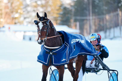 Payet kiri yllätysvoittoon Kultadivisioonafinaalissa. Juha Utala vastasi ohjastuksesta. 