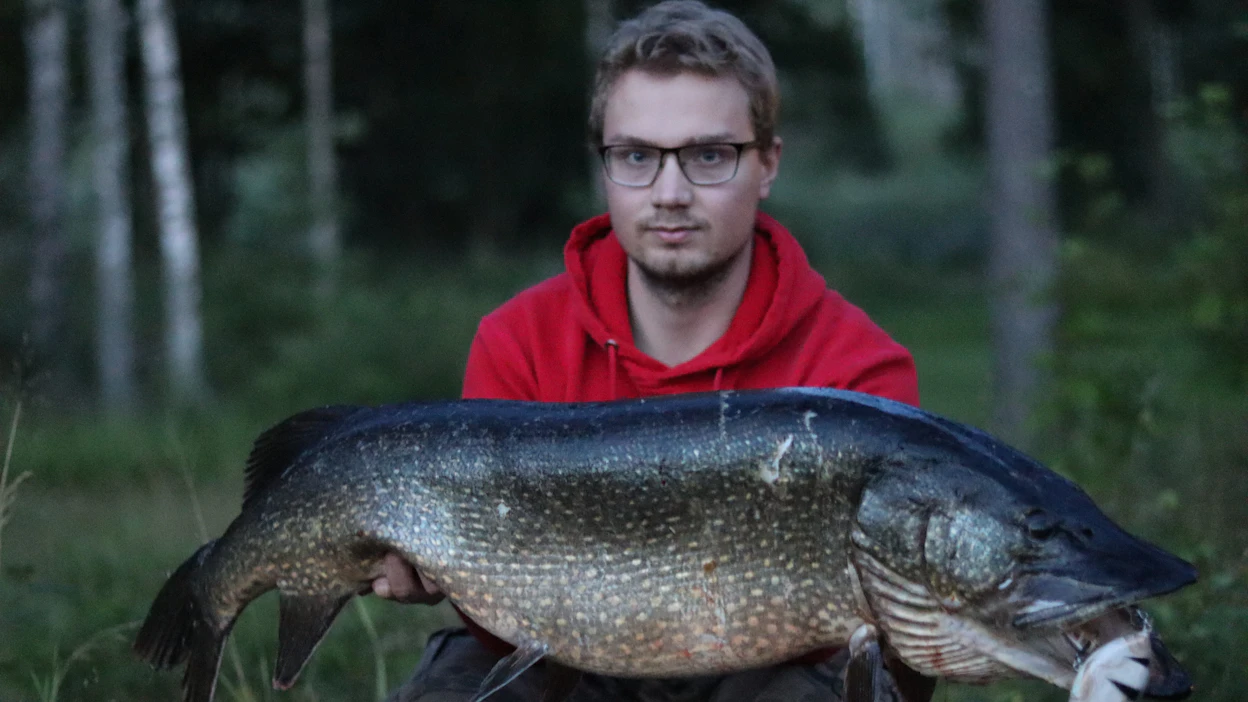 Jutun toimittajalla on paljon omakohtaista kokemusta suurhaukien narraamisesta. Tämä möhkäle on yksi hänen suurimpiaan.