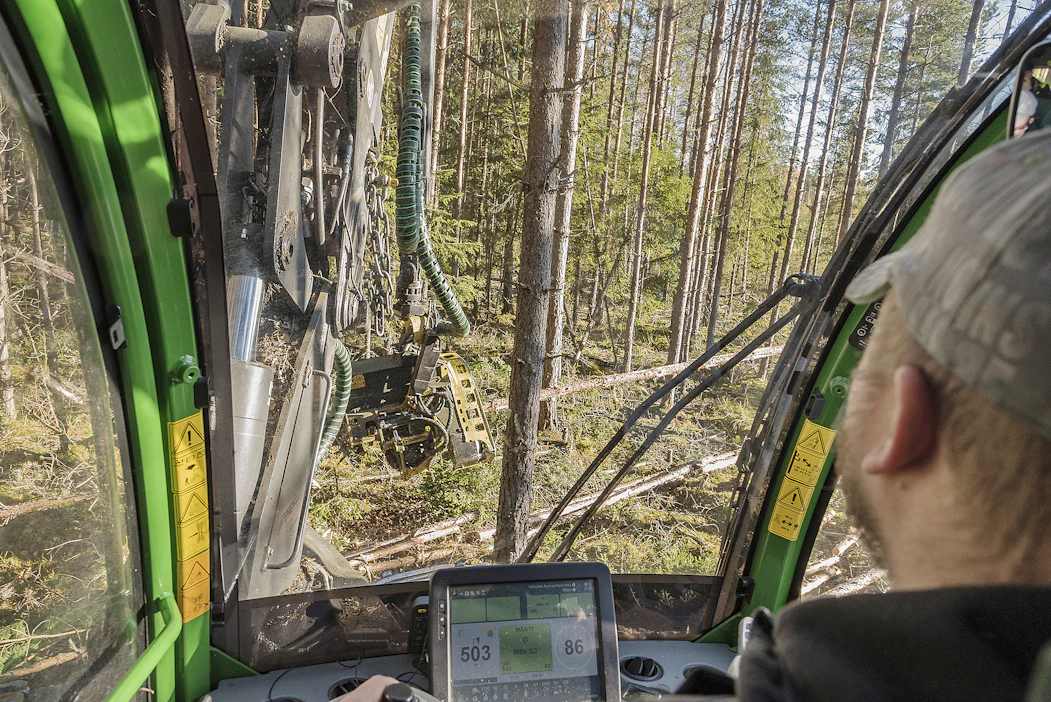 Metsäyhtiöiden puunostajien kiinnostus kohdistuu edelleen kesäkorjuukelpoisiin leimikoihin.