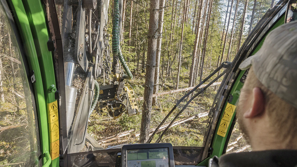 Kesälomien jälkeen puukauppamäärät eivät ole kasvaneet samaa tahtia kuin parina viime vuonna.