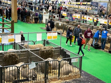 Pariisin maatalousnäyttelyssä ei perinteistä poiketen nähty ollenkaan nautaeläimiä lumpy skin -taudin takia.