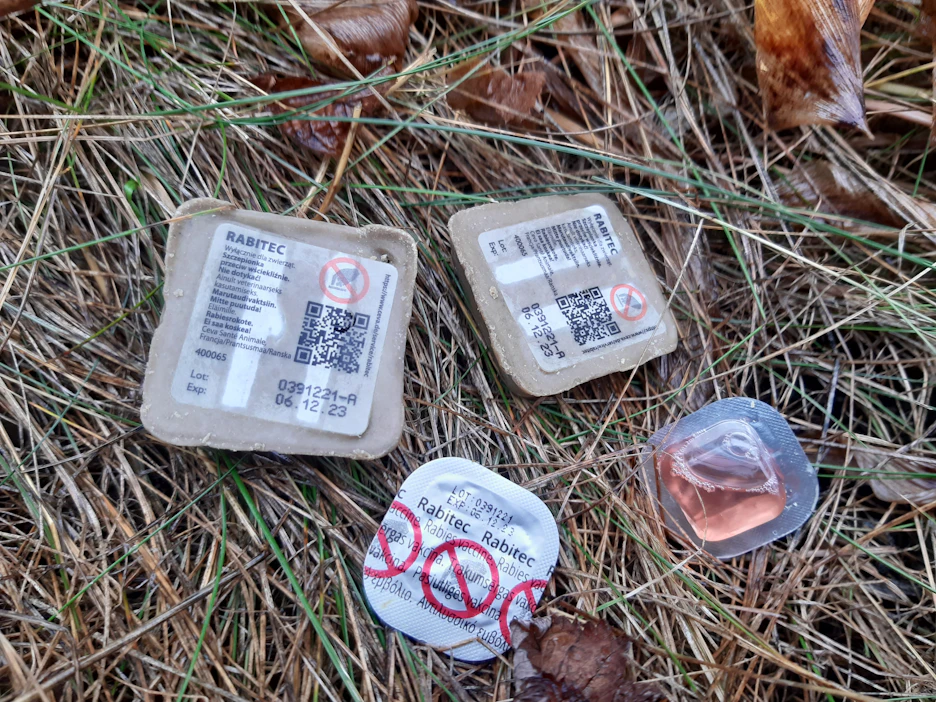 Syöttirokotteet ovat noin 5 x 4,5 x 1,5 sentin kokoisia ja tuoksuvat vahvasti kalalle. Rokote on nesteenä foliokapselissa syötin sisällä.