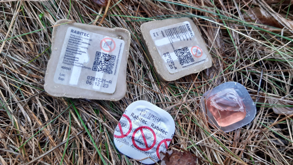 Syöttirokotteet ovat noin 5 x 4,5 x 1,5 senttimetrin kokoisia ja noin 30 gramman painoisia.