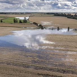 Pahimmillaan runsaat sateet ovat nostaneet pelloille tulvia. Kuva on elokuun lopulta Peräseinäjoelta.