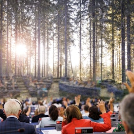 Euroopan parlamentti äänestää useista metsäpolitiikan linjauksista ensi viikolla.