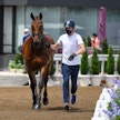 Henri Ruoste ja Kontestro edustivat Suomea viime vuonna Tokion olympialaisissa. Kuvassa on menossa eläinlääkärintarkastus.