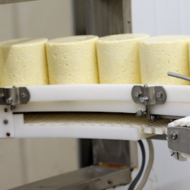 Paimenpoika-juusto on yksi Kuusamon Juuston tunnetuimmista tuotteista.