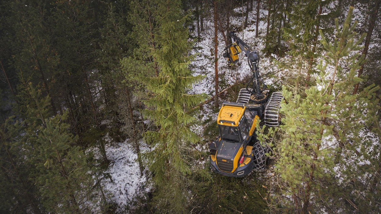 Metsäteollisuus ry:n mukaan esitys monimuotoisuuden edistämiseksi metsätaloudessa ei ota riittävästi huomioon metsien erilaisuutta eikä kansallisia erityispiirteitä. Lisäksi se uhkaa laskea merkittävästi metsätalouden kannattavuutta ja pitkän ajan hiilinieluja.