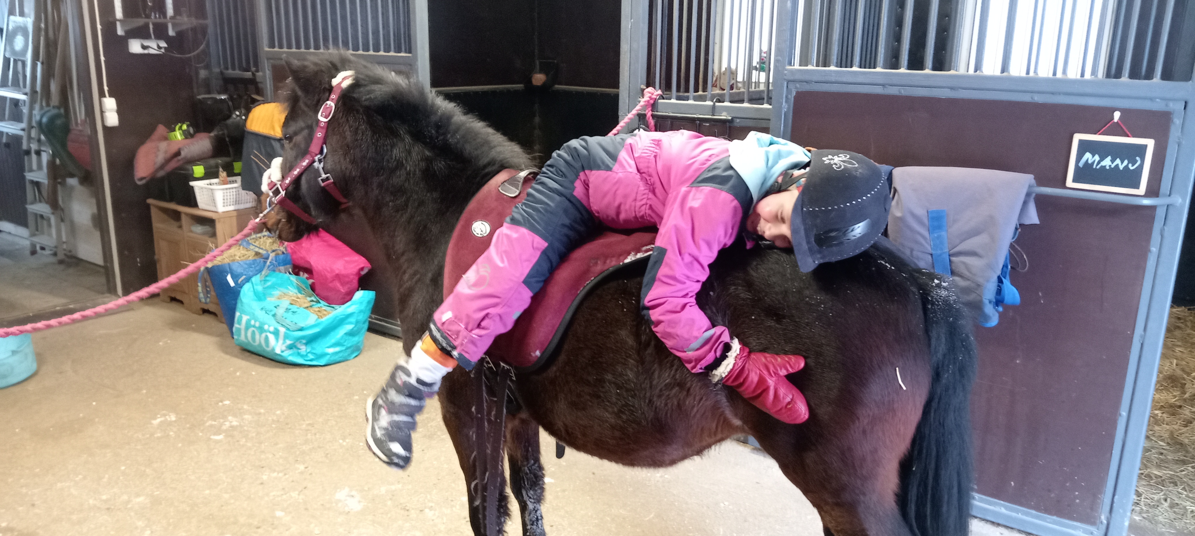 Vilja Paananen on erityinen hevostyttö.