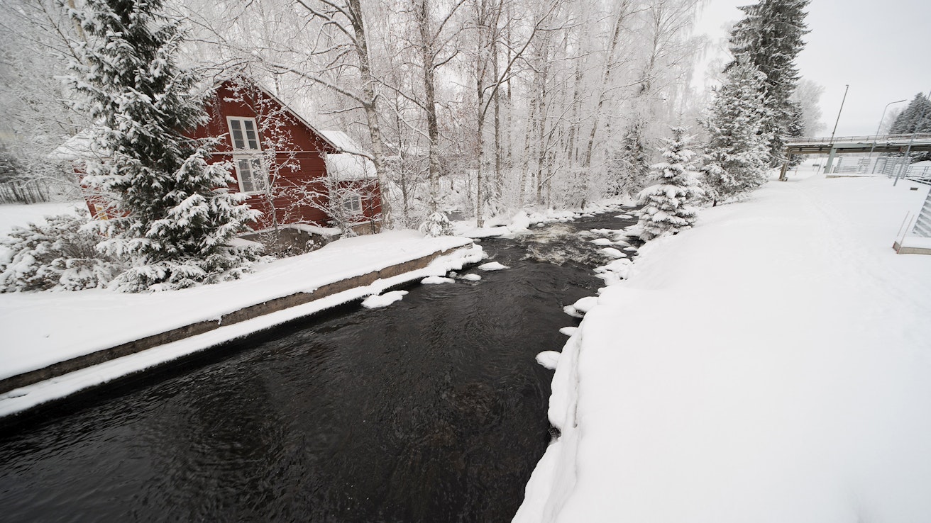Aktiivinen Kerkonkosken kylä Pohjois-Savossa sai kunniamaininnan Suomen vuoden kylä 2024 -kisassa.